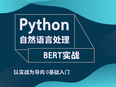 Python自然语言处理-BERT实战