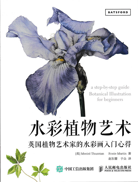 水彩植物艺术：英国植物艺术家的水彩画入门心得