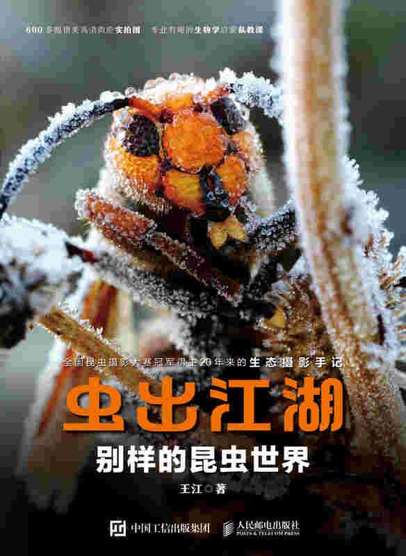 虫出江湖：别样的昆虫世界