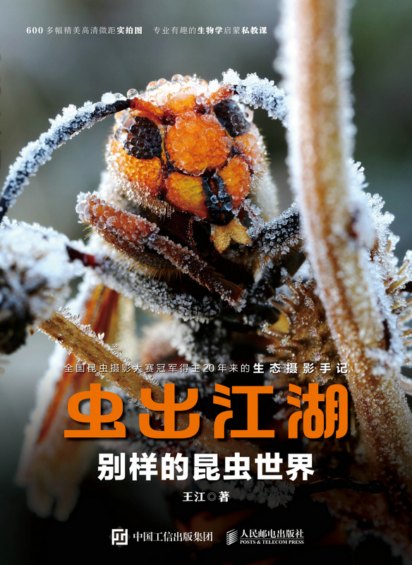 虫出江湖：别样的昆虫世界