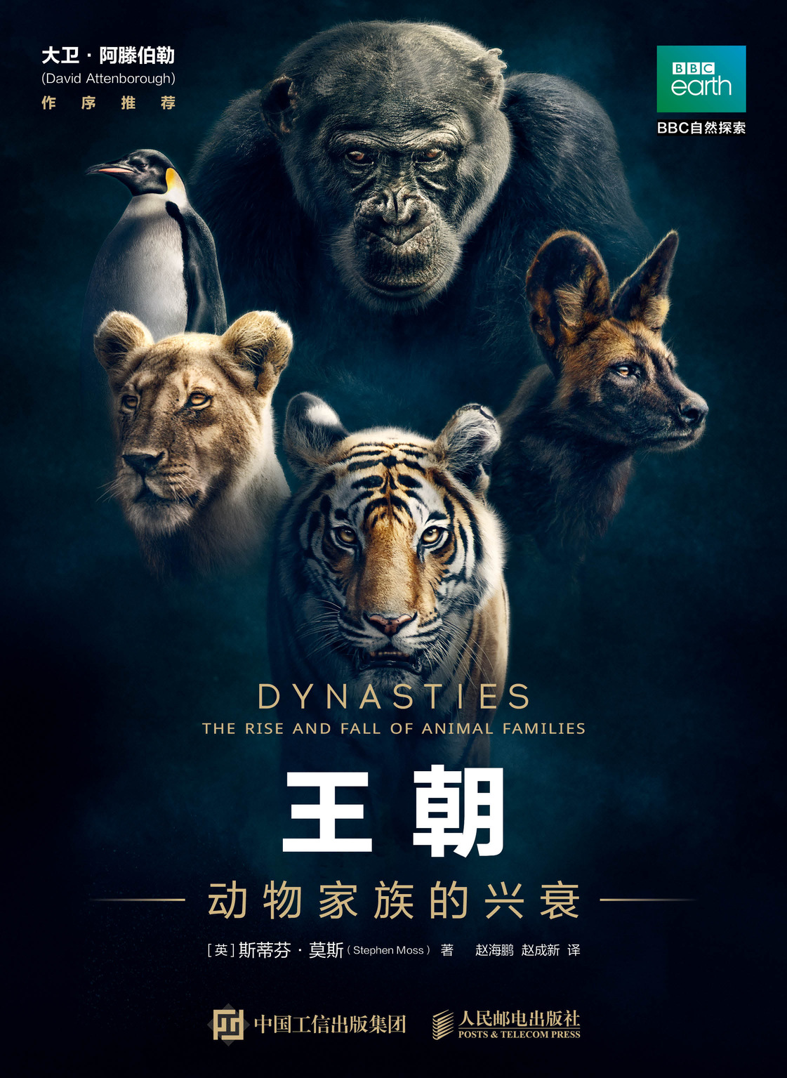 王朝:动物家族的兴衰