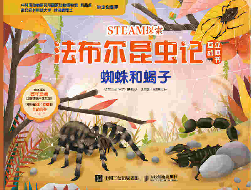 STEAM探索 法布尔昆虫记互动立体书 蜘蛛和蝎子