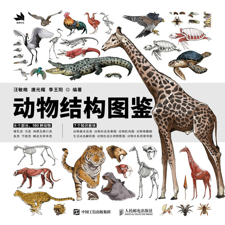 动物结构图鉴
