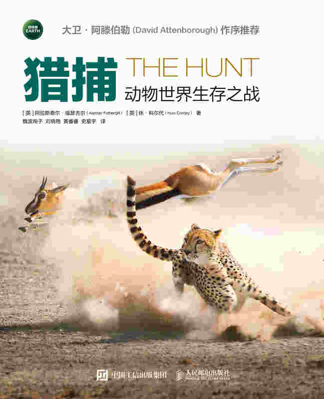 猎捕：动物世界生存之战