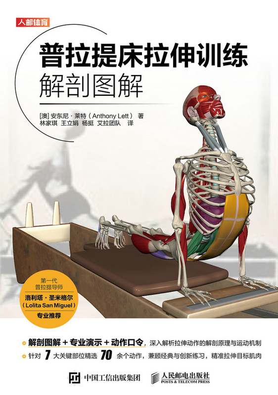 普拉提床拉伸训练解剖图解
