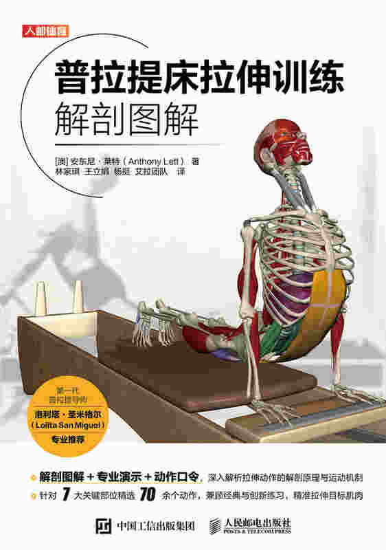 普拉提床拉伸训练解剖图解