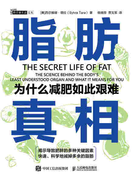 脂肪真相：为什么减肥如此艰难