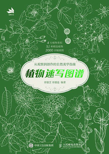 植物速写图谱