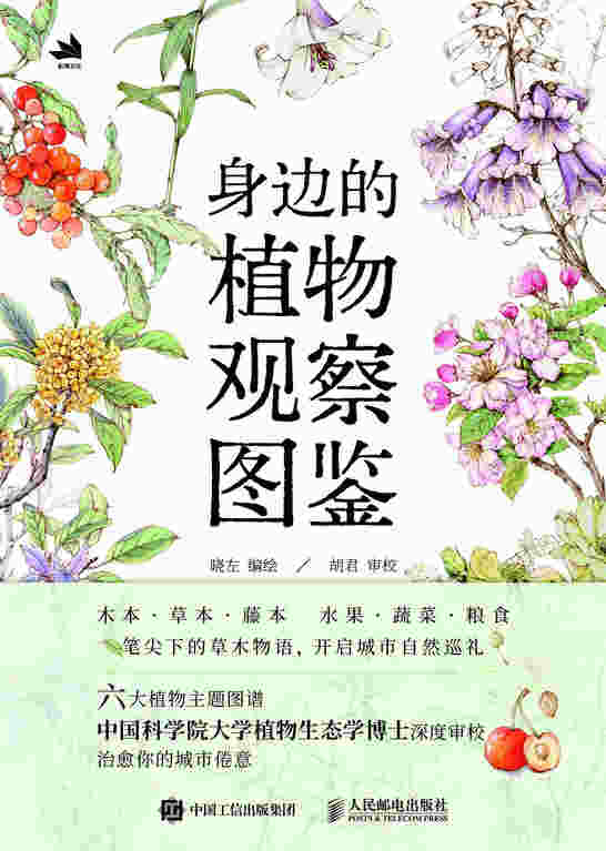 身边的植物观察图鉴