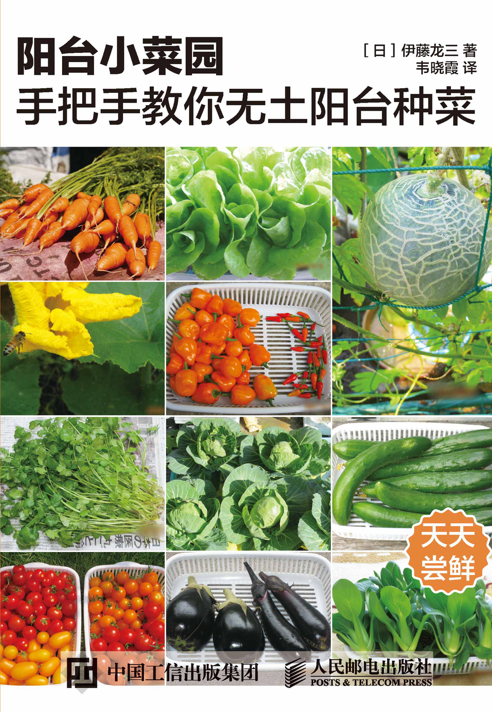 阳台小菜园 手把手教你无土阳台种菜