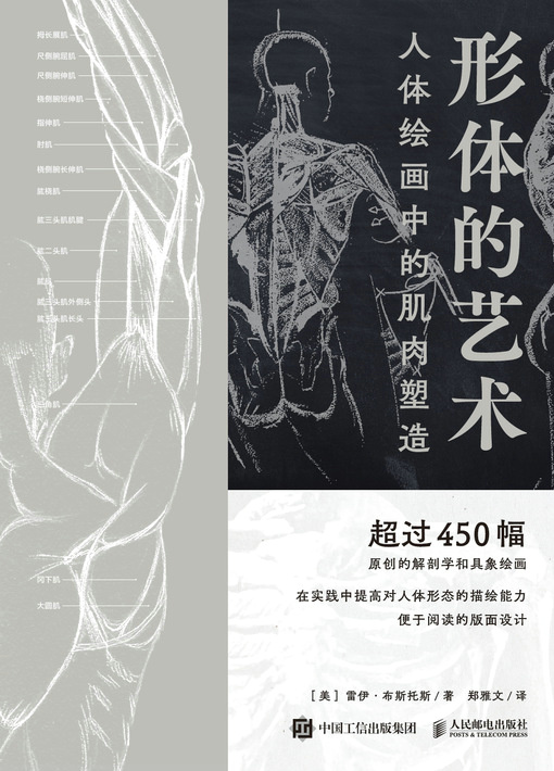 形体的艺术：人体绘画中的肌肉塑造