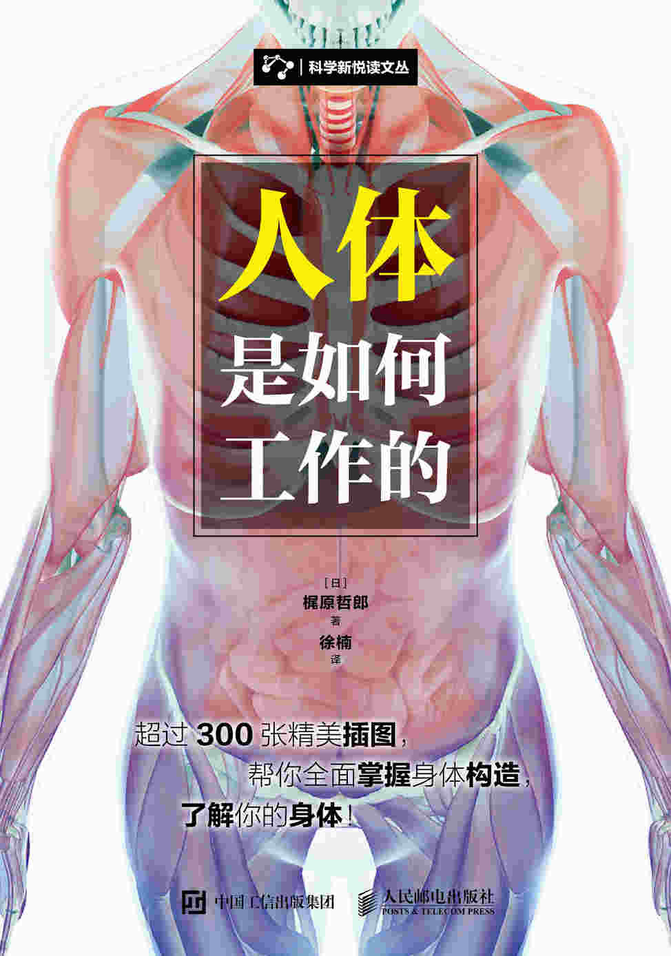 人体是如何工作的