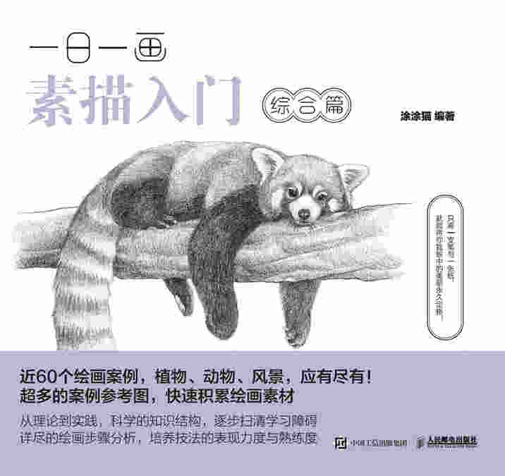 一日一画素描入门：综合篇