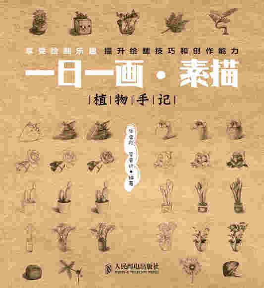 一日一画·素描——植物手记