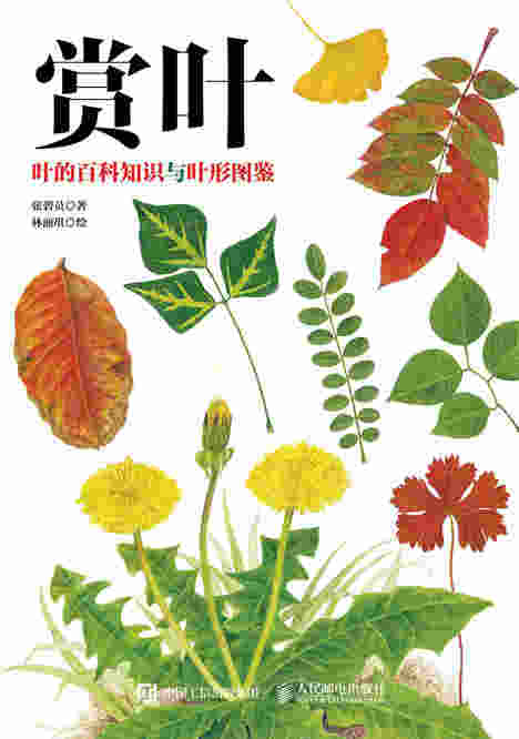 赏叶：叶的百科知识与叶形图鉴