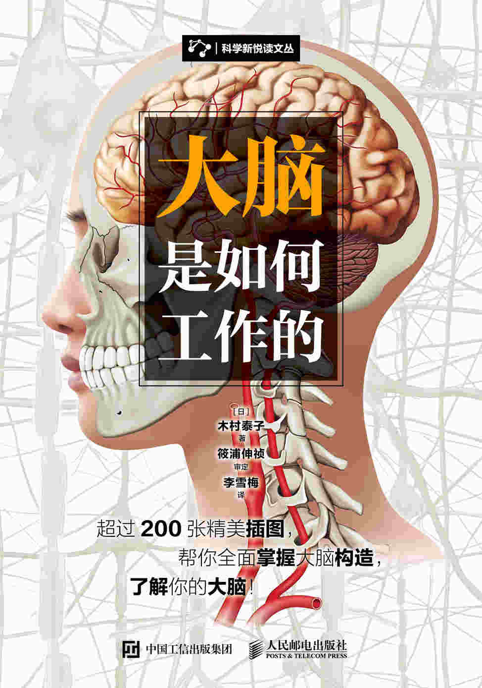 大脑是如何工作的