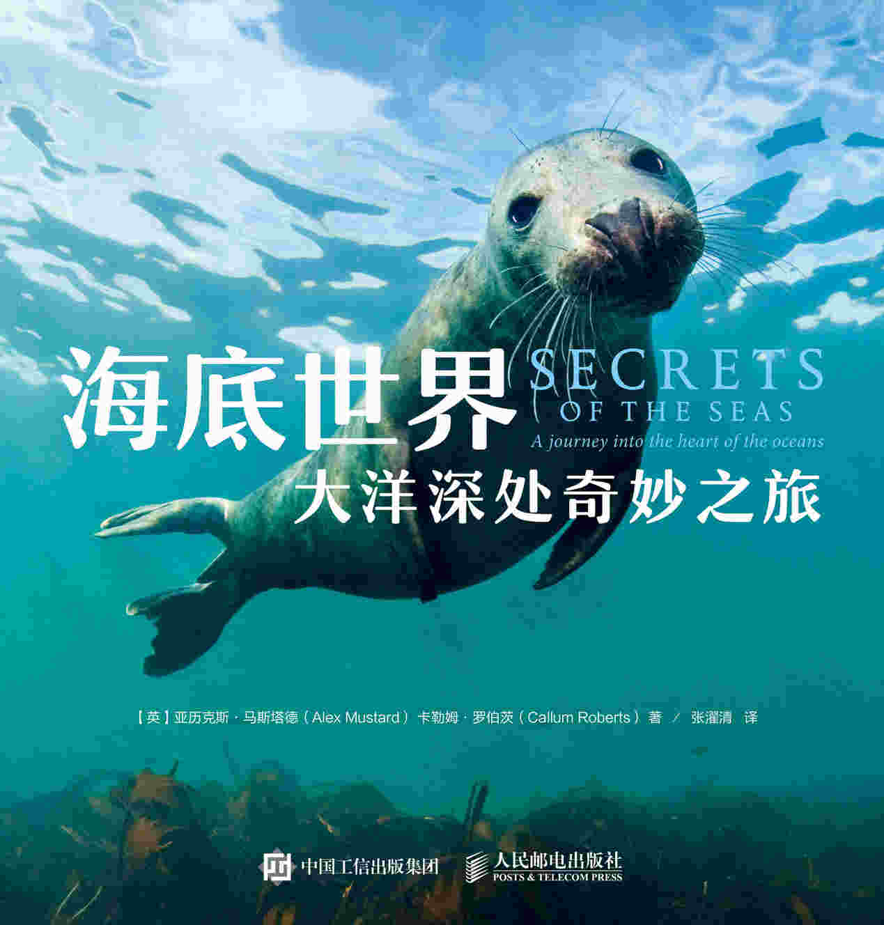 海底世界：大洋深处奇妙之旅