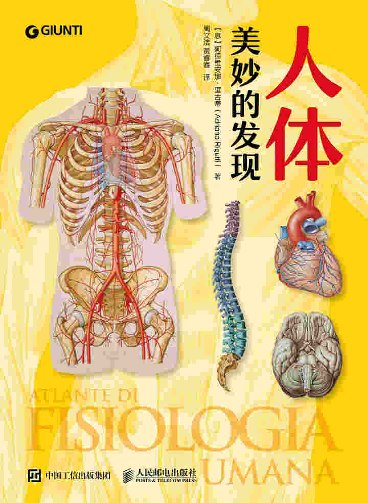 人体：美妙的发现