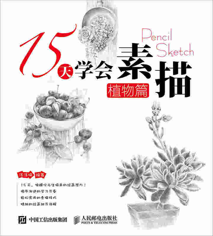 15天学会素描——植物篇