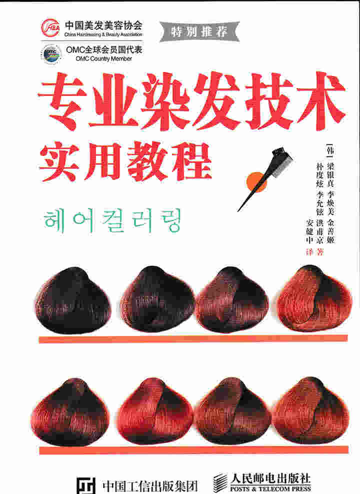 专业染发技术实用教程