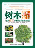 树木百科全书 世界600余种树木全彩图鉴