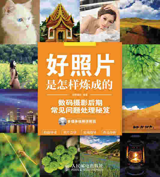 好照片是怎样炼成的——数码摄影后期常见问题处理秘笈(多媒体视频讲解版)