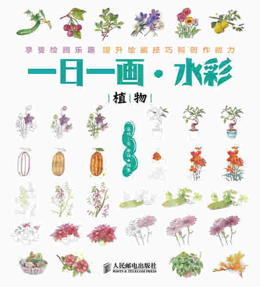 一日一画·水彩——植物