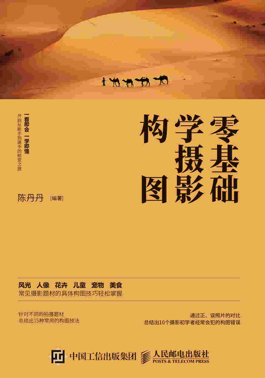 摄影入门 零基础学摄影构图 技法教程