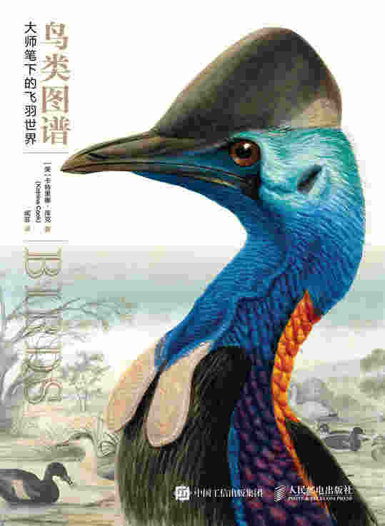 鸟类图谱：大师笔下的飞羽世界
