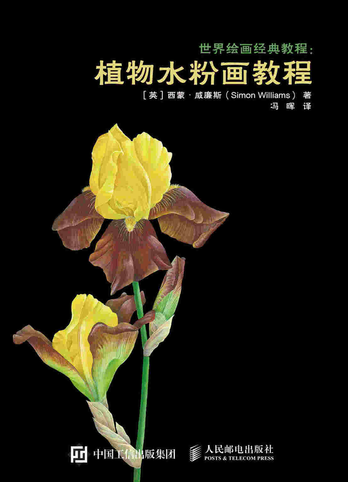 世界绘画经典教程 植物水粉画教程