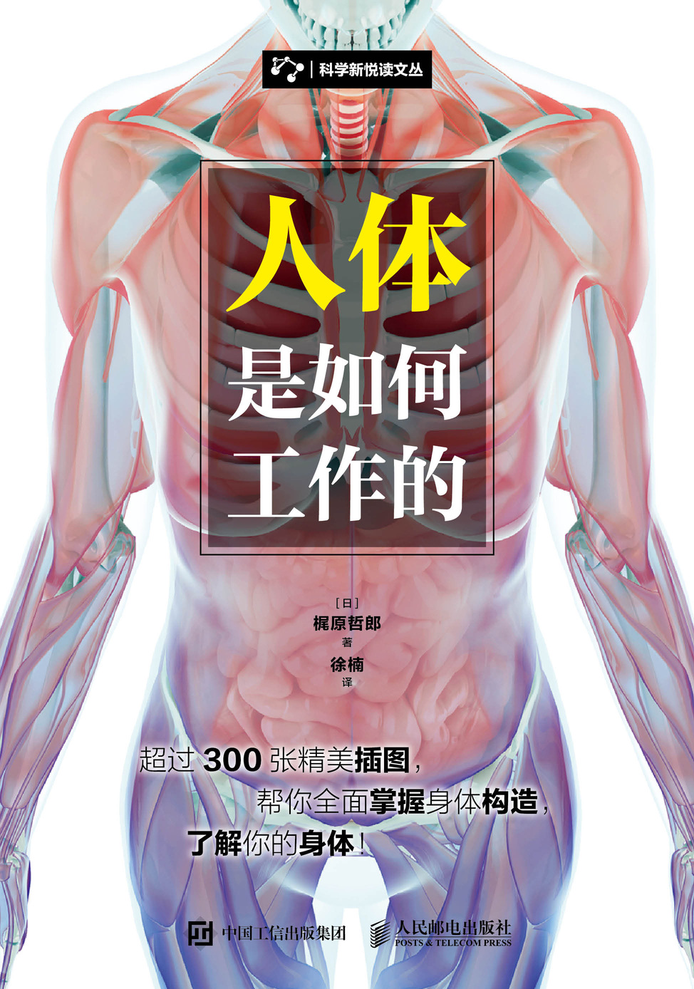 人体是如何工作的
