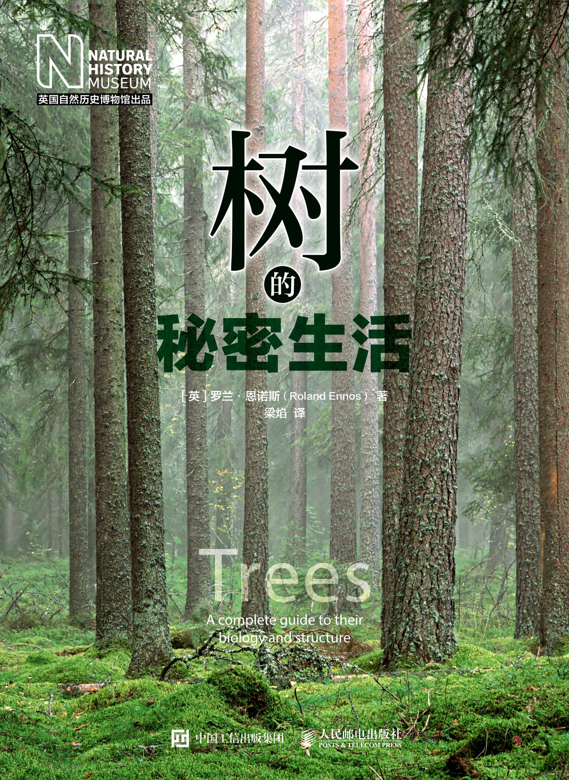 树的秘密生活