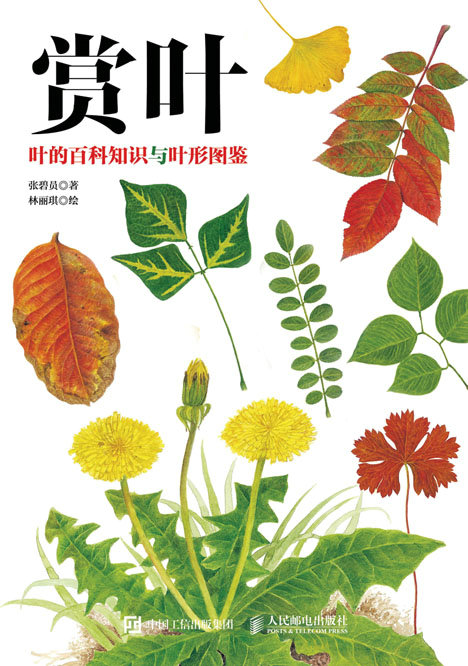 赏叶：叶的百科知识与叶形图鉴
