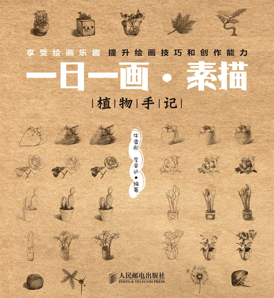 一日一画·素描——植物手记