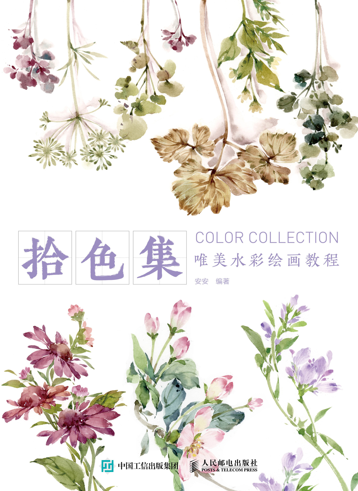 拾色集 唯美水彩绘画教程