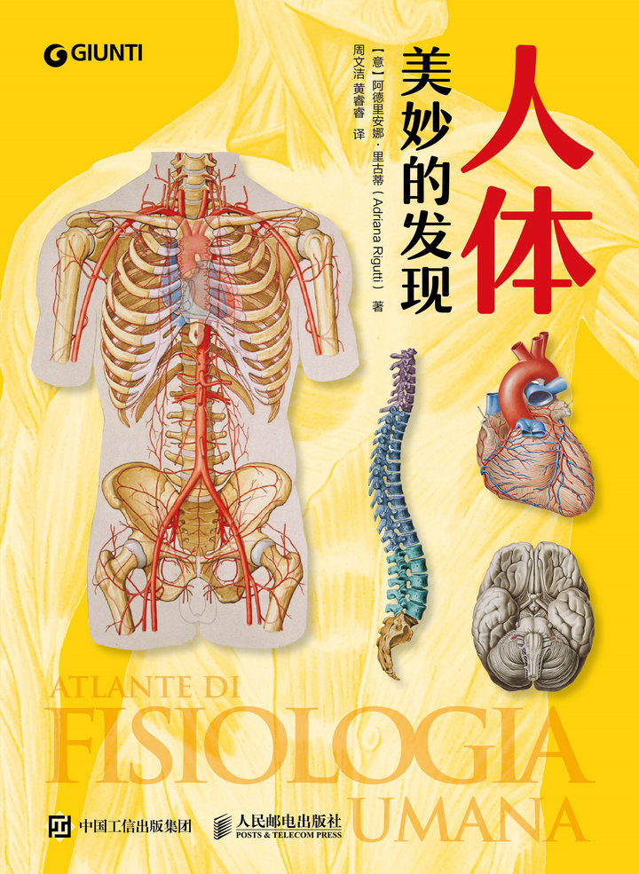 人体：美妙的发现