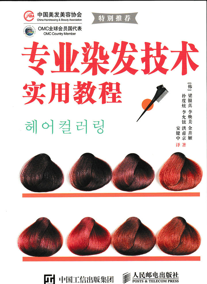 专业染发技术实用教程