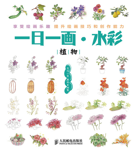 一日一画·水彩——植物