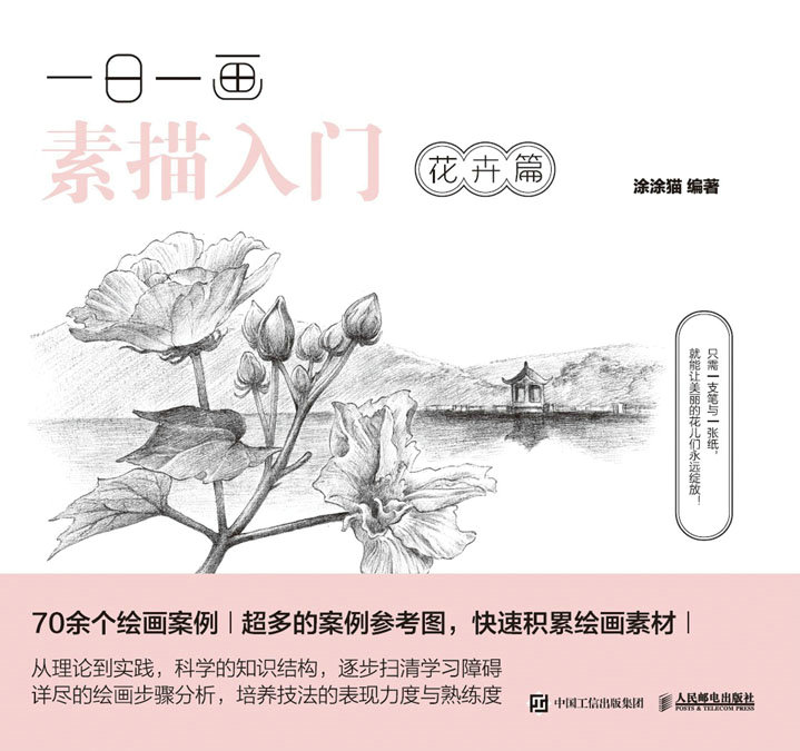 一日一画素描入门：花卉篇