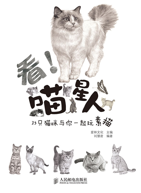 看！喵星人——35只猫咪与你一起玩素描