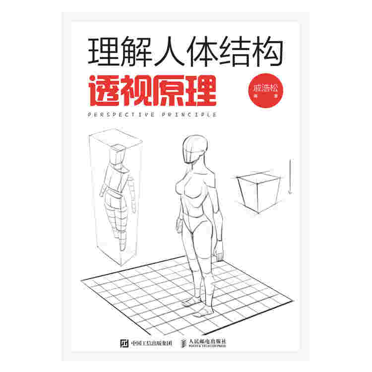 理解人体结构：透视原理
