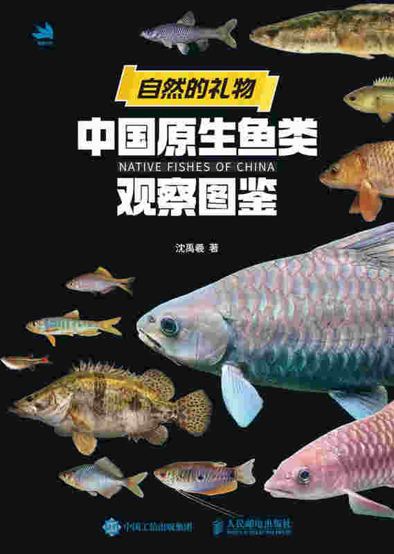 自然的礼物 中国原生鱼类观察图鉴