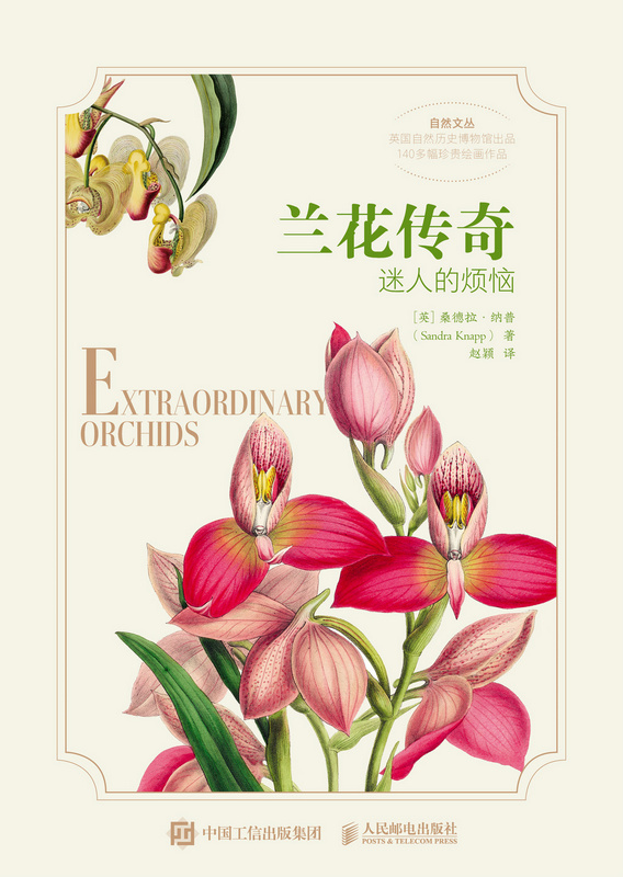 兰花传奇：迷人的烦恼