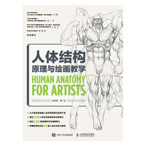 人体结构原理与绘画教学